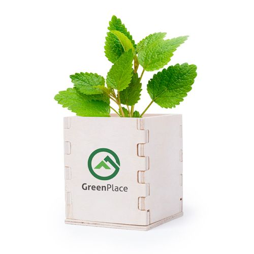Wooden flowerpot with mint - Image 2